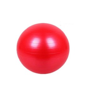 Pilates Bobath Topu (65cm)